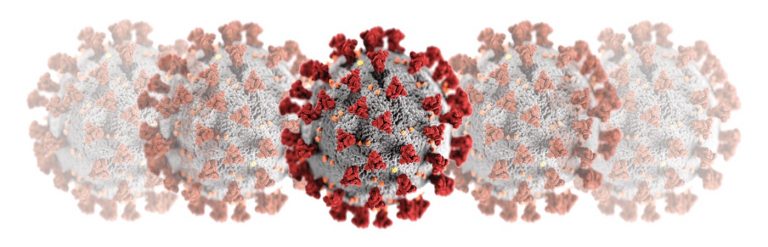 COVID-19 Virus